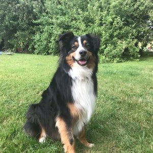 Meet your Posher, Jenny